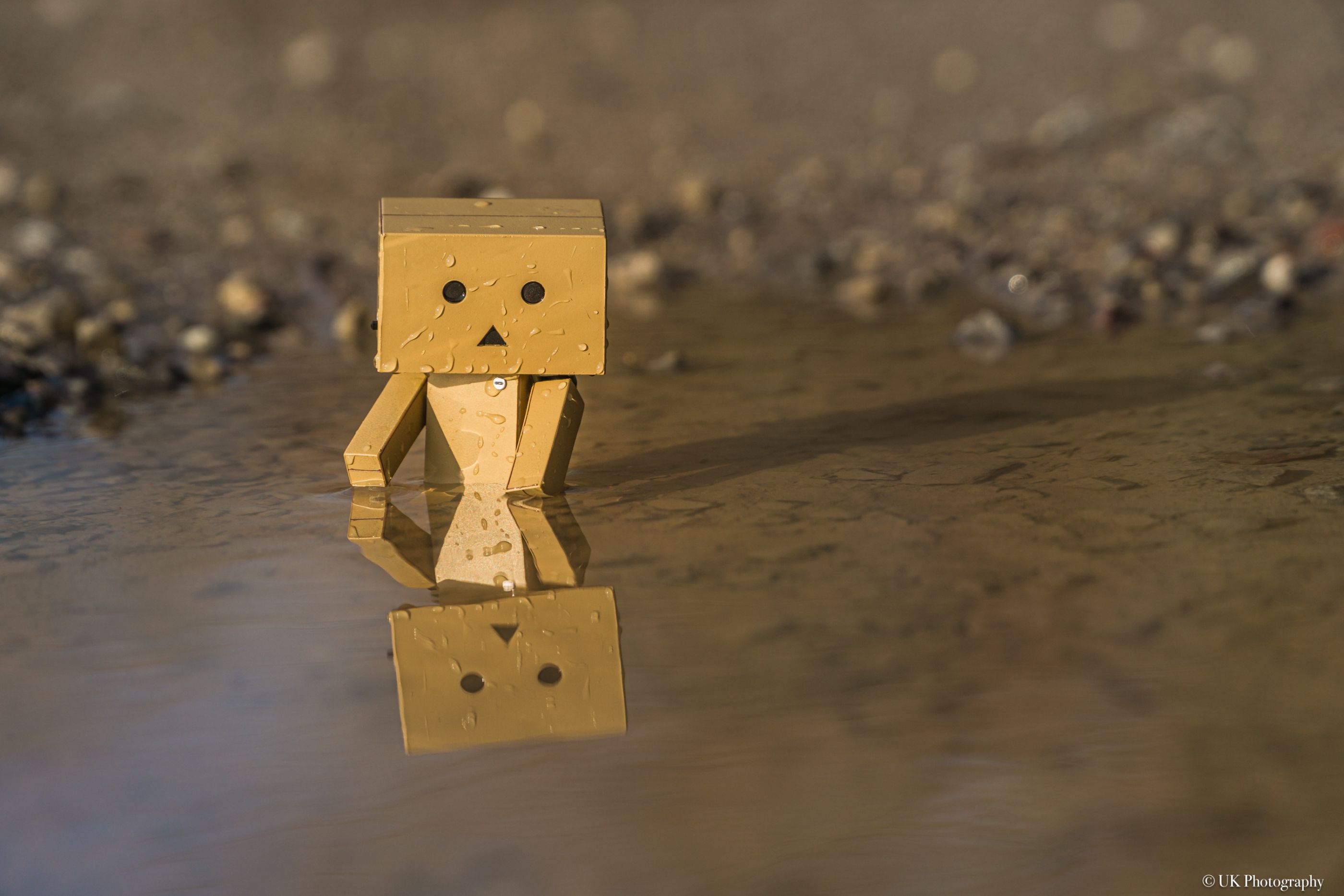 Danbo im Wasser